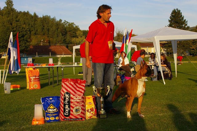 www.boxer-show.eu